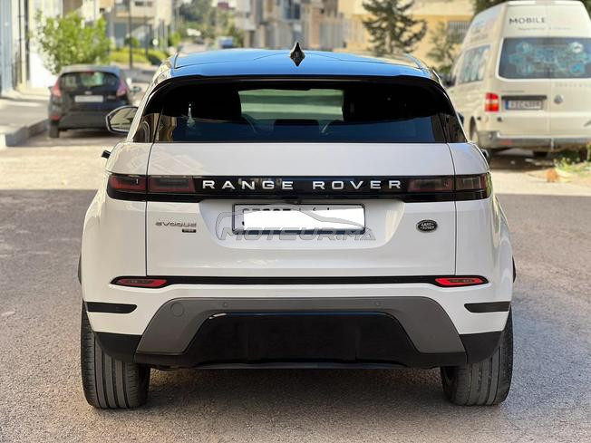 ronge rover bebe vilar