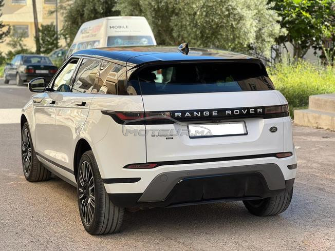 ronge rover bebe vilar