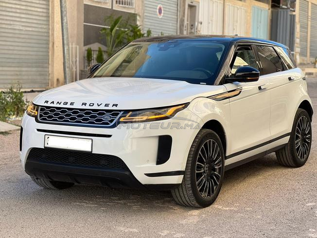 ronge rover bebe vilar