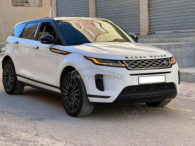 ronge rover bebe vilar