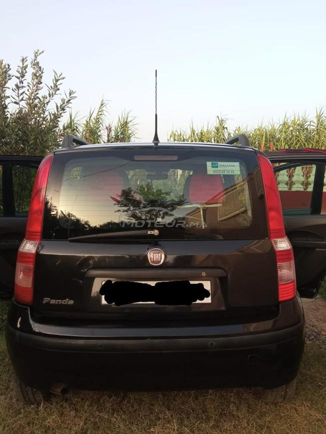 fiat panda 