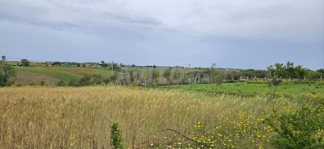 مزرعة جميلة جدا