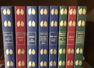 Série GRANDS ÉCRIVAINS