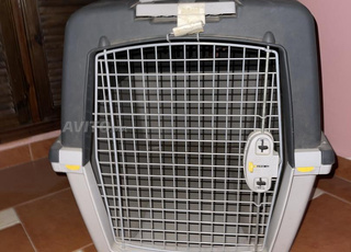 Cage Pour Chien 🐶 (IATA)