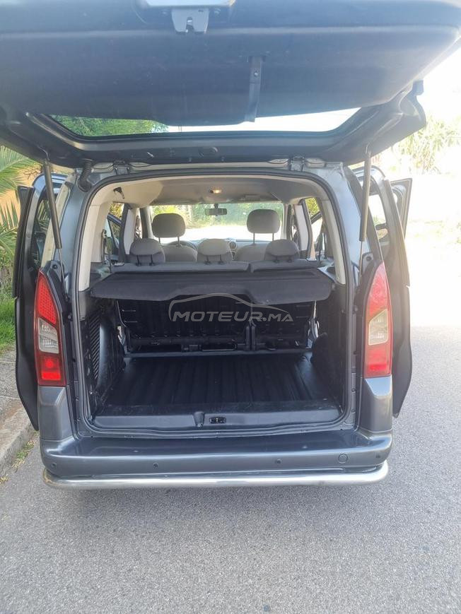 peugeot tepee