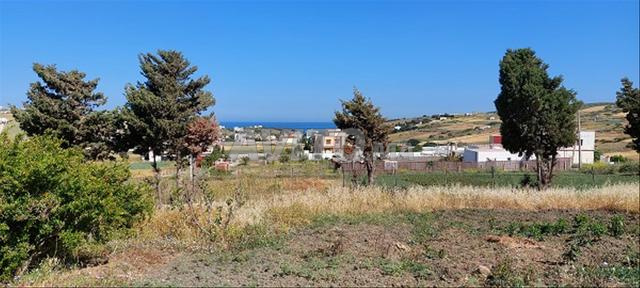 Terrain 1118m² titré pour villa vue mer - 2