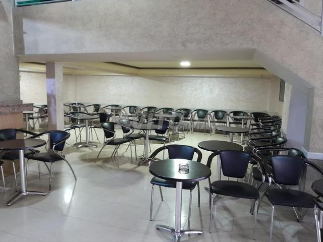 Café de standing au Centre ville Fond et Mur - 2