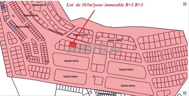 Lot de terrain pour immeuble R3  بقعةللإستتمار - 2