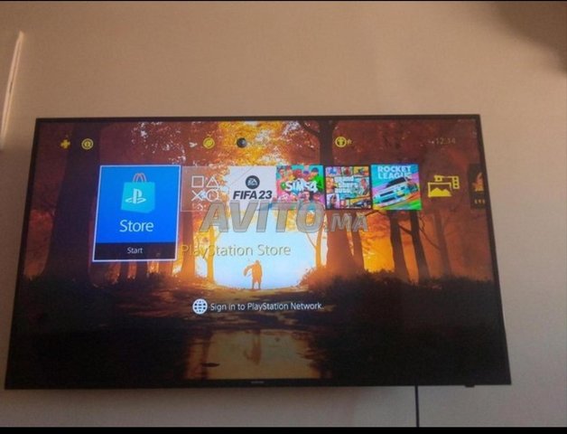 ps4 pro 1000g