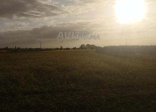 هكتارين للبيع 