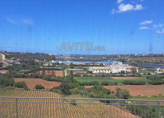 Terrain 2 Hectares secteur Layoune Benslimane 