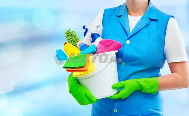 امرأة تنظيف، مربية، طباخة، مساعدة في المطبخ - 2