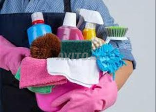 femme de ménage et propreté professionnelle