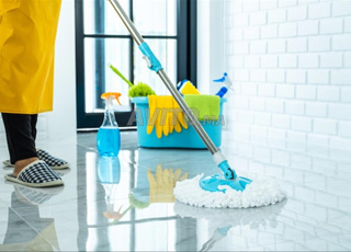 Femme de ménage et cuisine professionnelle