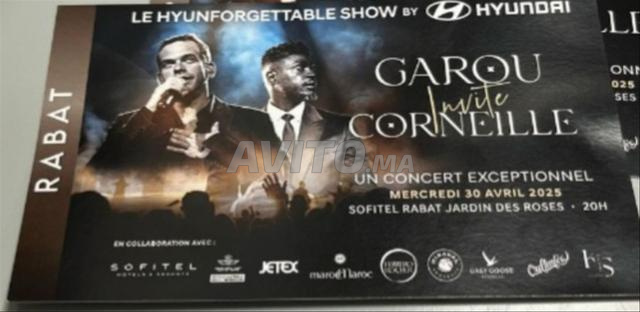 تذكرة لشخصين للعرض الموسيقي GAROU & CORNEILLE  