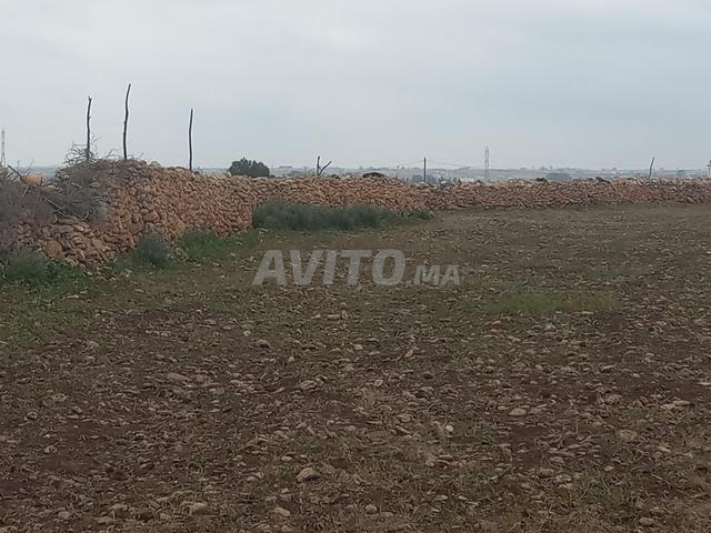 Je veux vendre un terrain agricole titré 