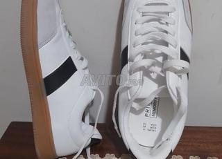 سبرديلة في حالة جيدة مستوردة