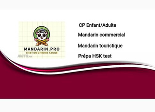 Cours de mandarin(tous types)