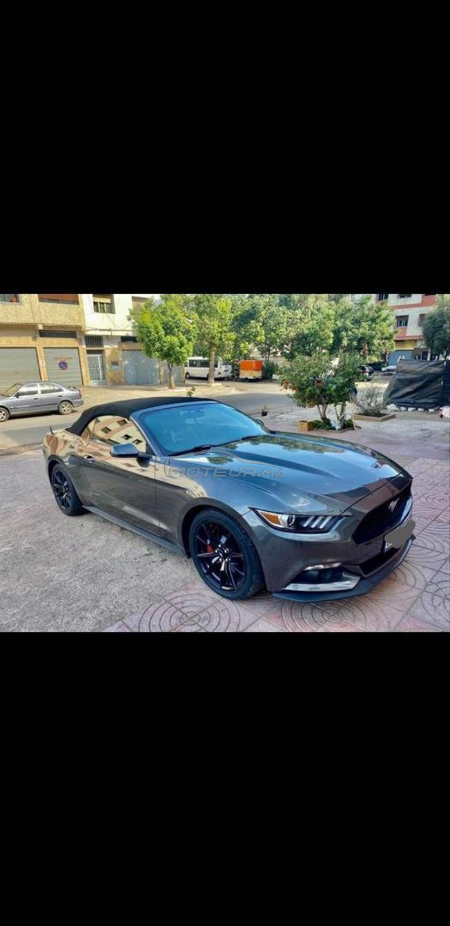 mustang excellent 