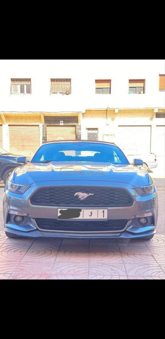 mustang excellent 