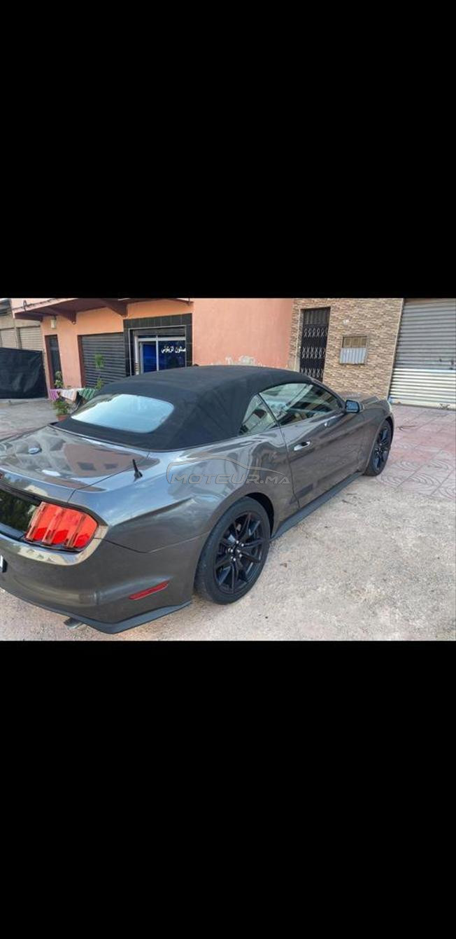 mustang excellent 
