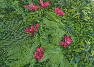 قطعة أرضية للبيع امزورن ايت موسى وعمر 110 