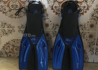 les palme ba9in n9iyin taman 9abl li tafawod