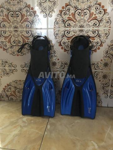 les palme ba9in n9iyin taman 9abl li tafawod