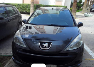 206 diesel 1ére main.vlimat