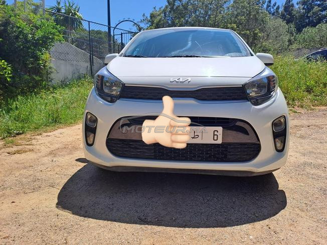 Kia Picanto Essence Manuelle 2022 à Tanger