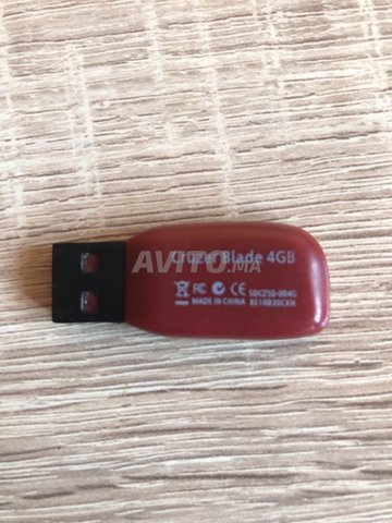 SanDisk cle usb flash 4 gb /go
