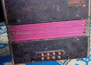 Accordéon musicale 
