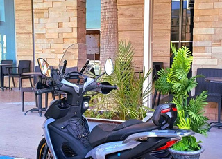 becane spring x 2024