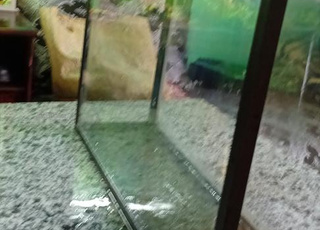 اكوريوم مزيان