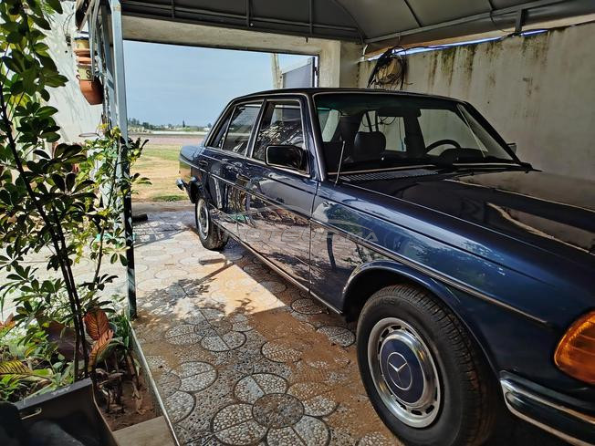 mercedes 240 collection 