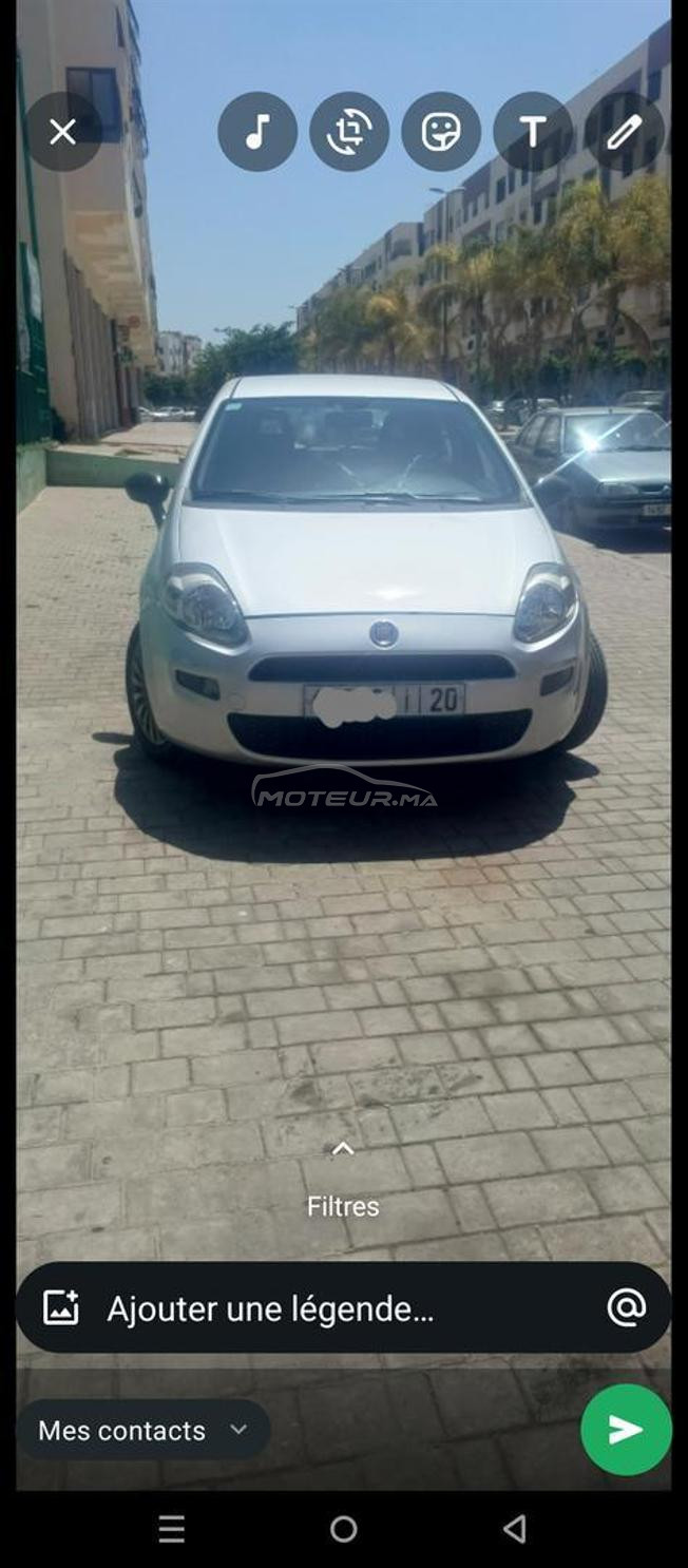 fiat punto
