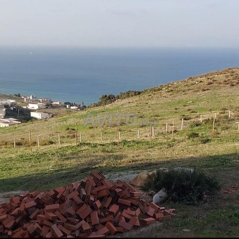 Terrain à vendre  à tanger Ksar Sghir Diki 559m²