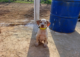 مكناس قرب حي السلام