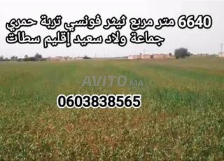 ارض فلاحية للبيع ثيثر فونسي