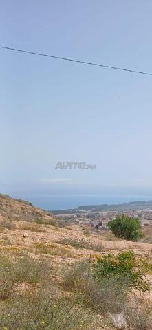 ارض للبيع بالحسيمة اجدير محفظة 155متر - 2