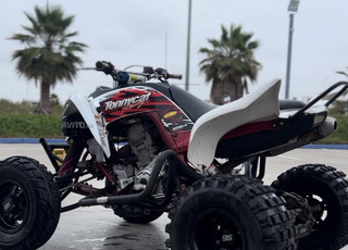 quad raptor 700r 