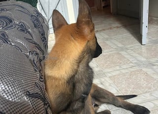 شارع 18نونبر