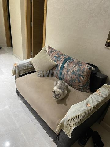 Salon de fouteuille - 2