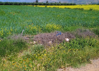 UN HECTARE TITRE PROCHE ZONE URBAINE BENI MELLAL 