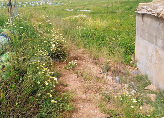 A VENDRE 13 HECTARES TITRE REGION BENI MELLAL 