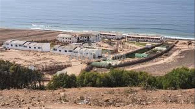  ارض للبيع طريق اسفي اتجاه الوالدية