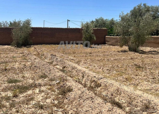 terrain a vendre a skoura ouarzazate
