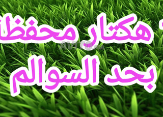 1 hectare agricole titré a had soualem