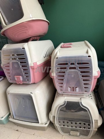 cage laitiére pour chat chien 