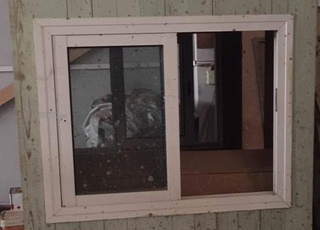 guérite de sécurité 